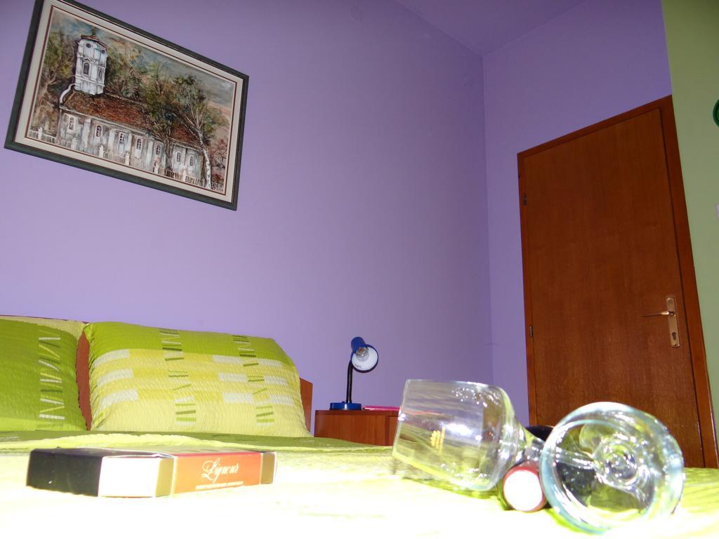 Naša Tvrđava Guest Accommodation Novi Sad Extérieur photo
